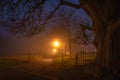 Footpath and gate illuminated by street lamps in thick fog at night. Silhouette of beech tree in Phoenix Park, Dublin Royalty Free Stock Photo