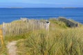 Footpath in the grassy dunes bordered by a wooden fence by the sea Royalty Free Stock Photo