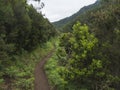 Footpath in green hills and tropical vegetation at end of Vereda do Larano coastal hiking trail to Machico. Madeira Royalty Free Stock Photo