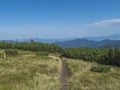 Footpath of hiking trail from Chopok ridge with mountain meadow, scrub pine and view of blue green hills ridge Royalty Free Stock Photo