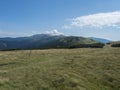 Footpath of hiking trail from Chopok ridge with mountain meadow, scrub pine and view of blue green hills ridge Royalty Free Stock Photo