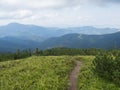 Footpath of hiking trail Low Tatras mountains ridge with view of blue green hills, mountain meadow and scrub pine Royalty Free Stock Photo