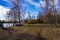 Footpath beside a lake through winter trees Royalty Free Stock Photo