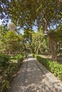 Footpath through a large park botanical garden