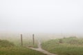 Footpath leading through foggy field