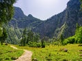 Footpath leading in mountain valey with waterfall landscape view