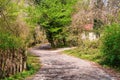 Footpath leading to cottage in forest Royalty Free Stock Photo