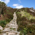 Footpath leading uphill Royalty Free Stock Photo