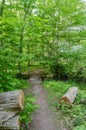 Footpath in a lush greenery in a deciduous forest in summer season Royalty Free Stock Photo