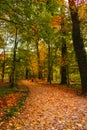 Footpath in Maksimir park in autumn, Zagreb, Croatia, Europe Royalty Free Stock Photo