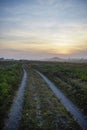 footpath in the meadow late in the evening Royalty Free Stock Photo