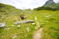 Footpath in the middle of beautiful Austrian Hills Royalty Free Stock Photo