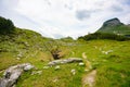 Footpath in the middle of beautiful Austrian Hills Royalty Free Stock Photo