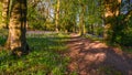 Footpath in Morpeth Bluebell Wood