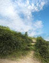 Footpath with Natural Three Step Stairs as If as Big Wide Blue Sky Is Destination. Green Shrub On The Side of Country Trail