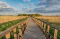 Footpath in nature. National Park Tablas de Daimiel. Ciudad Real. Spain. Royalty Free Stock Photo