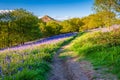 Footpath through Newton Wood Royalty Free Stock Photo