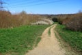 Footpath through the North Kent Countryside at Jeskyns Park