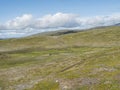 Footpath in northern artic landscape, tundra in Swedish Lapland with green hills and mountains at Padjelantaleden hiking