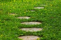 Footpath in outdoor garden Royalty Free Stock Photo