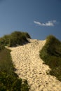 Footpath over the dune