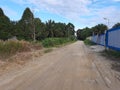 Footpath in the palm grove unpaved road Royalty Free Stock Photo
