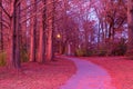 Footpath in Piedmont Park in beautiful twilight glow, Atlanta, USA Royalty Free Stock Photo