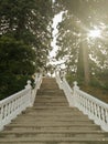 A footpath in a place for leisure and recreation. Untouched by man nature