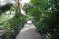 A footpath with a railing in a tropical forest with plant and trees in the Nong Nooch tropical botanic garden near Pattaya city