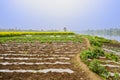 Footpath and ribbings in riverside farmland on foggy sunny spring day Royalty Free Stock Photo