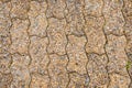 Footpath rough stone texture Royalty Free Stock Photo