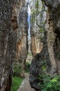 Shilin Stone Forest - Yunnan Province - China