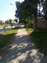 A Footpath on the side of a road with some trees Royalty Free Stock Photo