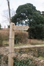 Footpath Sign Royalty Free Stock Photo