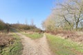 A countryside footpath slipts in two to up a hill or round the hill