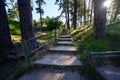 footpath with steps in the forest with tall trees and sun rays. Royalty Free Stock Photo