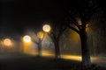 Footpath with street lights in foggy evening