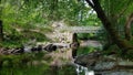 Bickleigh Vale River Plym , Dartmoor ,Devon uk Royalty Free Stock Photo