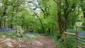 Footpath to Bickleigh Vale River Plym , Dartmoor ,Devon uk