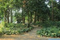 footpath to the gazebo in the Bogor Botanical Gardens, West Java, Indonesia Royalty Free Stock Photo