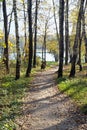 Footpath to lake Royalty Free Stock Photo