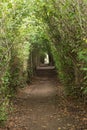 Footpath to old cemetery and historic pear tree in Genadendal Royalty Free Stock Photo