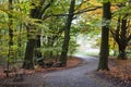 Footpath and trees in autumn Royalty Free Stock Photo