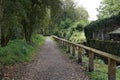 Footpath with trees and wood fence