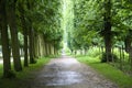 Footpath in versailles