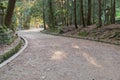 Footpath winding through forest at Kasuga Taisha Shrine in Nara, Japan Royalty Free Stock Photo