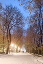 Footpath in winter city park