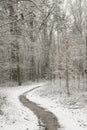 Footpath in winter forest Royalty Free Stock Photo