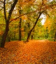 Footpath and a wooden bench in a park in autumn Royalty Free Stock Photo