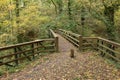 Footpath and wooden bridge with balustrade over small forest gully Royalty Free Stock Photo